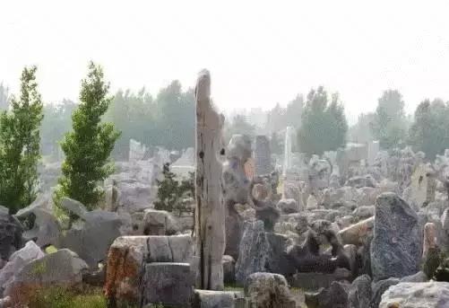 鍾靈毓秀，魅力五井！來此盡賞臨朐石林之美