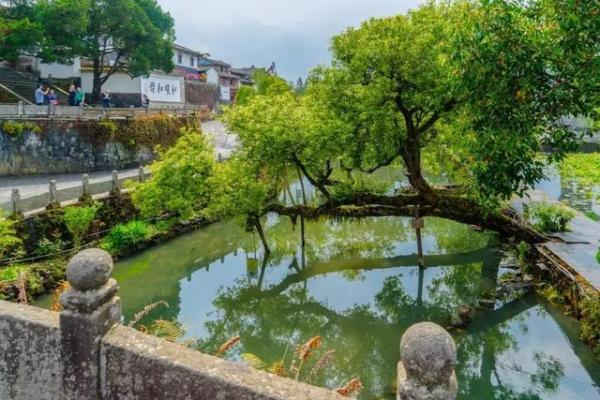 雲南這個600多年的古鎮，比大理古樸，比麗江安靜，卻鮮少人知