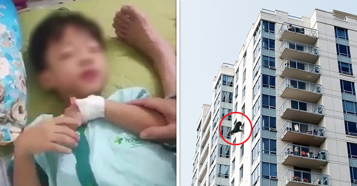 兩歲女兒被咬，他一氣之下把西施犬從 12 樓丟下去！論壇文章掀正反論戰 正方：爸爸太過分 反方：狗飼主不對！