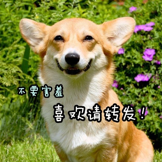好膽你就來！【心理測驗】測你戀愛白痴的指數！