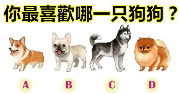你最喜歡哪一隻狗？看穿你內心最真實的你！