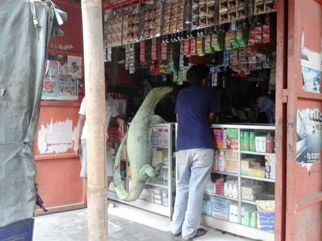 回家驚見「巨大蜥蜴爬欄要進屋」　網加碼PO照：我還看過更狂的