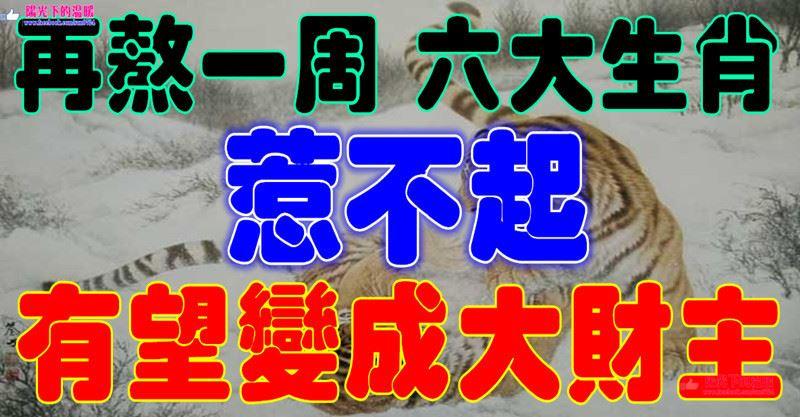 再熬一周，這六個生肖惹不起