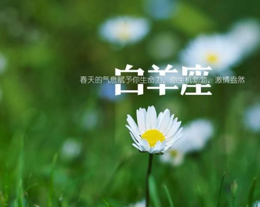 可以認錯道歉，但不會低頭退讓的星座 