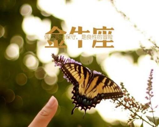 可以認錯道歉，但不會低頭退讓的星座 