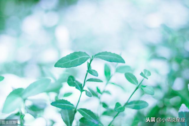 嘴嚴，口風緊的3個星座，從來不亂說話，最會保守別人的秘密