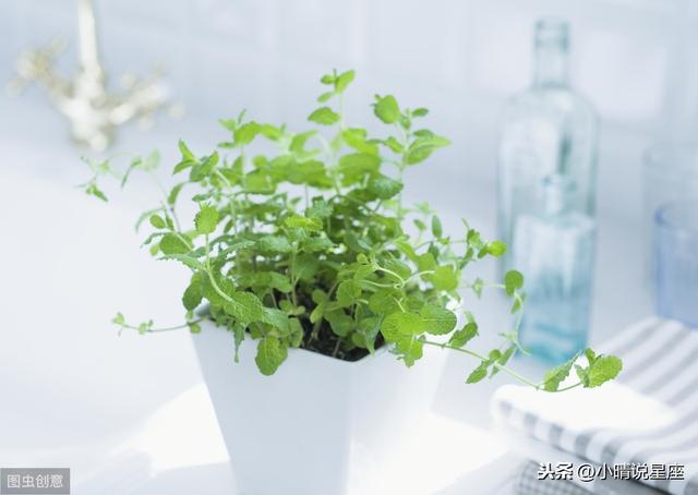嘴嚴，口風緊的3個星座，從來不亂說話，最會保守別人的秘密