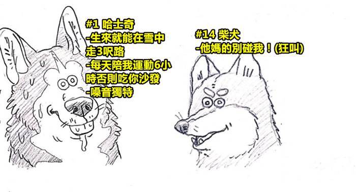 16個不同品種狗狗的「超有趣特徵」漫畫，你知道有些黃金獵犬喜歡聽「這種音樂」嗎！