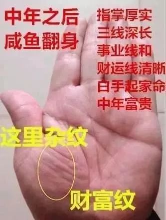 手相中一提到雜紋就是不好的？其實手上有此「雜紋」的人，中年可得榮華富貴