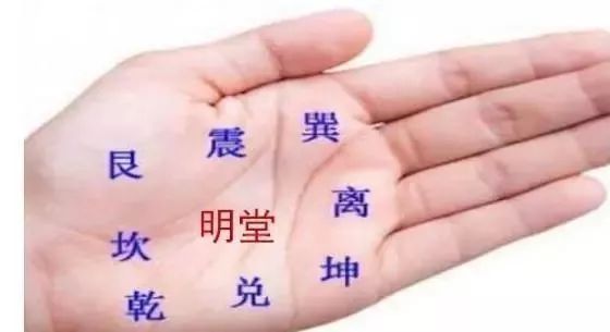 手相中一提到雜紋就是不好的？其實手上有此「雜紋」的人，中年可得榮華富貴