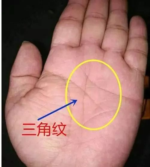 手相中一提到雜紋就是不好的？其實手上有此「雜紋」的人，中年可得榮華富貴