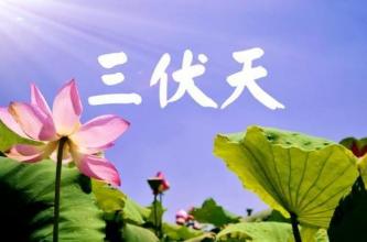 三伏天來了，要注意做這些事情，這樣避暑最清爽…