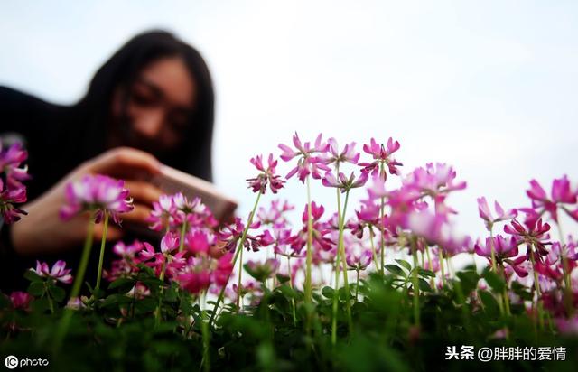 生活有望穿秋水的期待，也會有的意想不到的欣喜