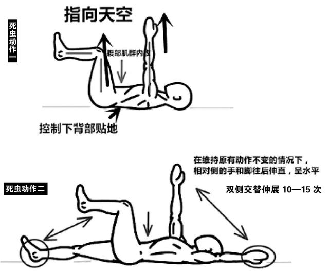 每天堅持15分鐘卷腹動作，30天腰瘦5寸