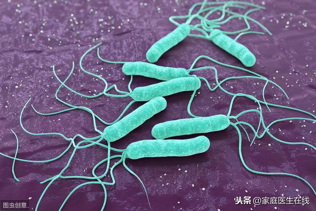 幽門螺旋桿菌「入侵」身體，會有4個表現，出現頻繁要注意