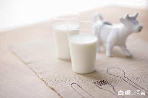 多喝牛奶有助高尿酸血症嗎？
