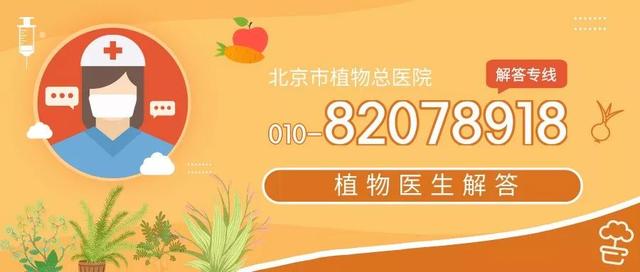 明明可以靠顏值，偏偏要靠辣出眼淚而出名