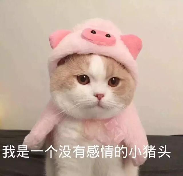 我不想要了，反而輕鬆了