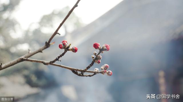 《菜根譚》：擺脫物慾之外，讓內心有正確的認知，從中感知快樂