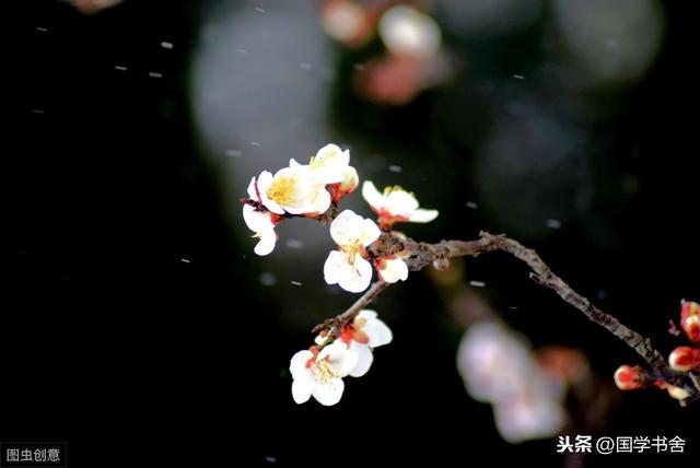 《菜根譚》：擺脫物慾之外，讓內心有正確的認知，從中感知快樂