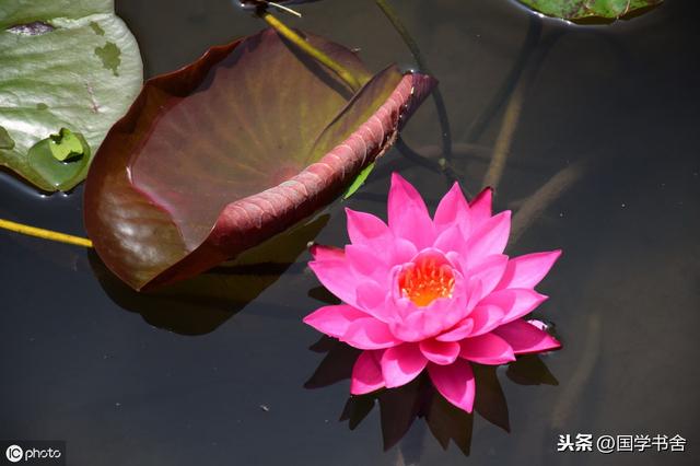 《菜根譚》：擺脫物慾之外，讓內心有正確的認知，從中感知快樂