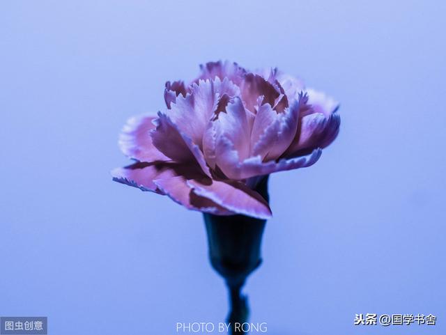 《菜根譚》：擺脫物慾之外，讓內心有正確的認知，從中感知快樂
