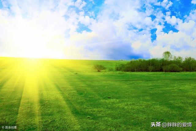 繁華三千，看淡即是浮雲；煩惱無數，想開就是晴天
