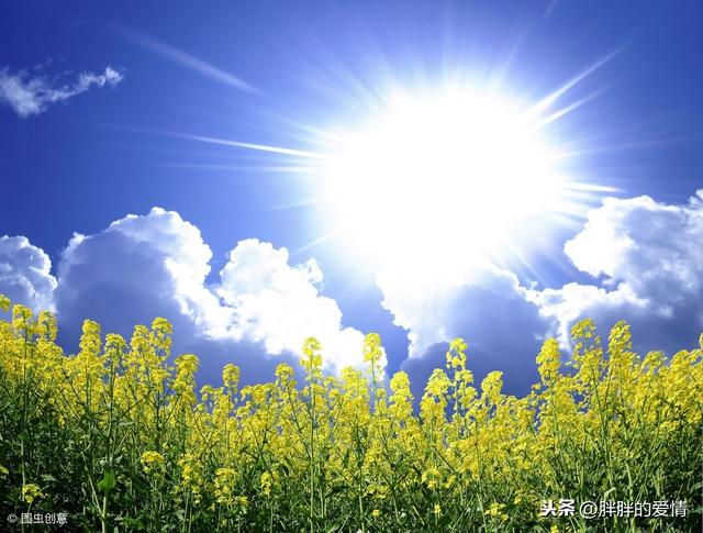 繁華三千，看淡即是浮雲；煩惱無數，想開就是晴天
