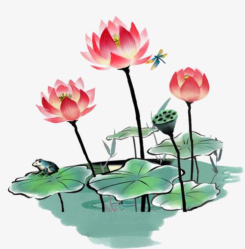 小暑節氣高溫多雨胃腸病高發，送你4款健脾養胃食療方