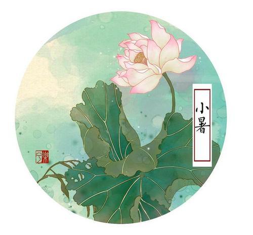 小暑節氣高溫多雨胃腸病高發，送你4款健脾養胃食療方