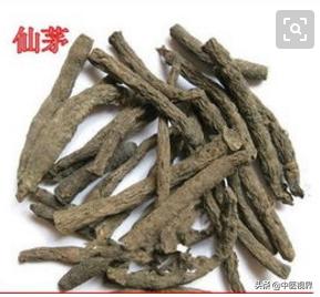 精神不振？提神醒腦湯，中藥裡面的大力神茶飲