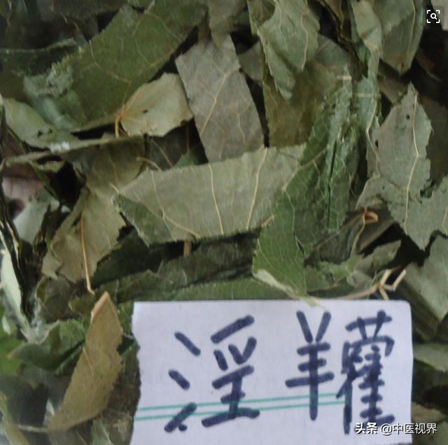 精神不振？提神醒腦湯，中藥裡面的大力神茶飲