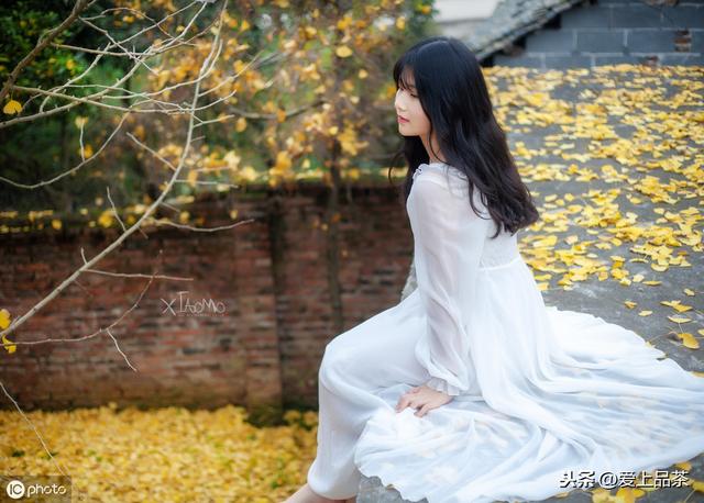 以一杯茶的清香，淡品人生百味