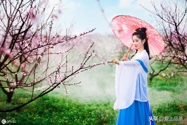 以一杯茶的清香，淡品人生百味