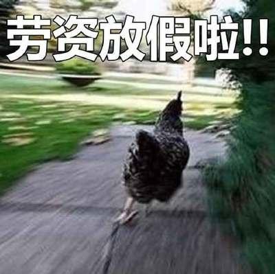 90%的大學生暑假已經廢了