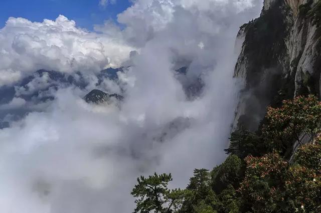 雲起太華山，你未曾見過的美！