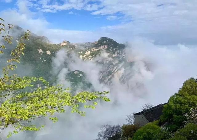 雲起太華山，你未曾見過的美！