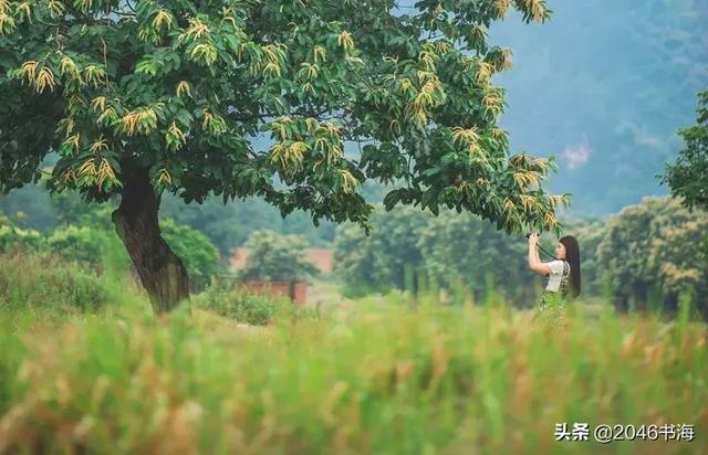做人，不需要人人喜歡