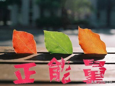 莫言：和正能量的人在一起，真的很重要（深度好文）