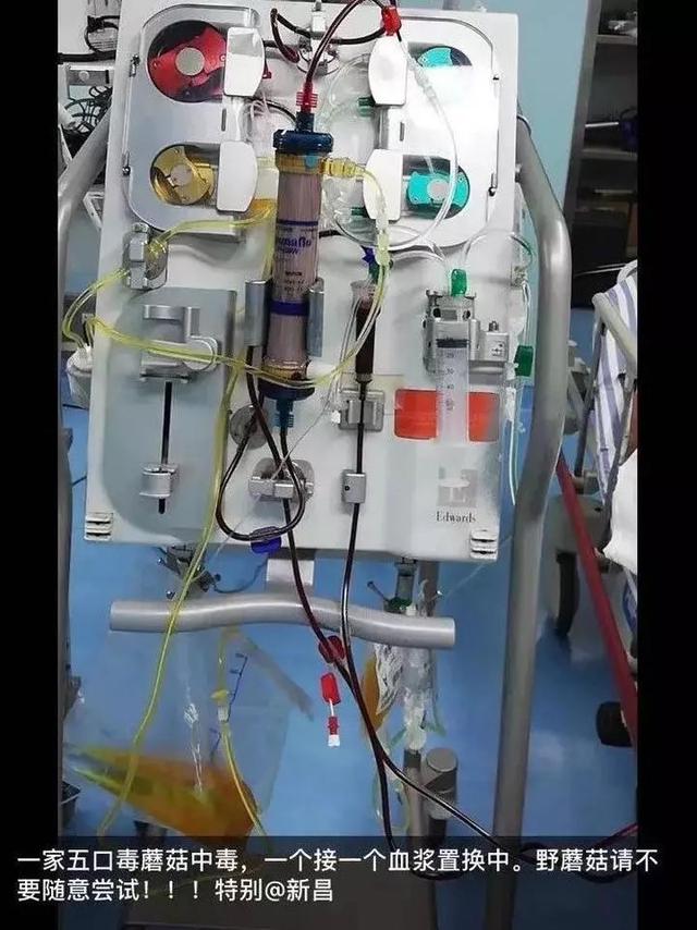一碗湯放倒全家6口人，生死未卜！媽媽在ICU痛哭：我真是悔死了