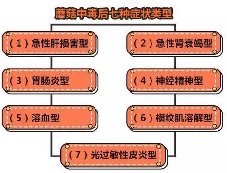 一碗湯放倒全家6口人，生死未卜！媽媽在ICU痛哭：我真是悔死了