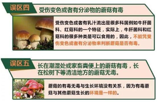 一碗湯放倒全家6口人，生死未卜！媽媽在ICU痛哭：我真是悔死了