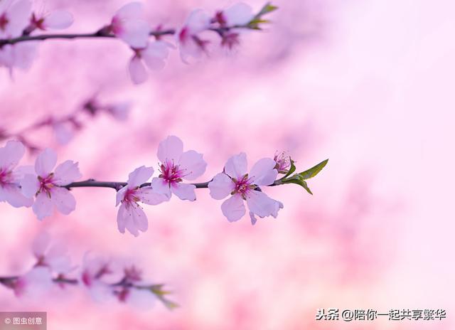 放下不屬於你的，你將活的更快樂。