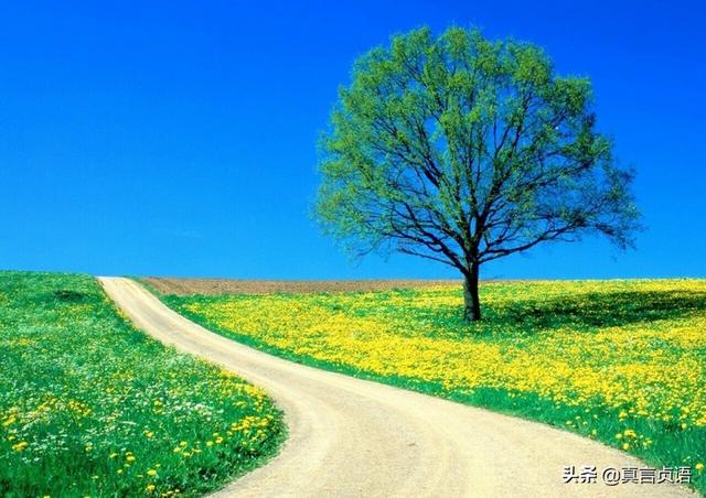 龍聰岩原創詩歌二首：借一程暖，詩里徜徉丨絕緣紅塵