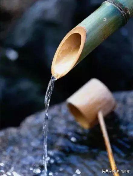 林清玄：眾人皆樂，我獨醒（深度好文）