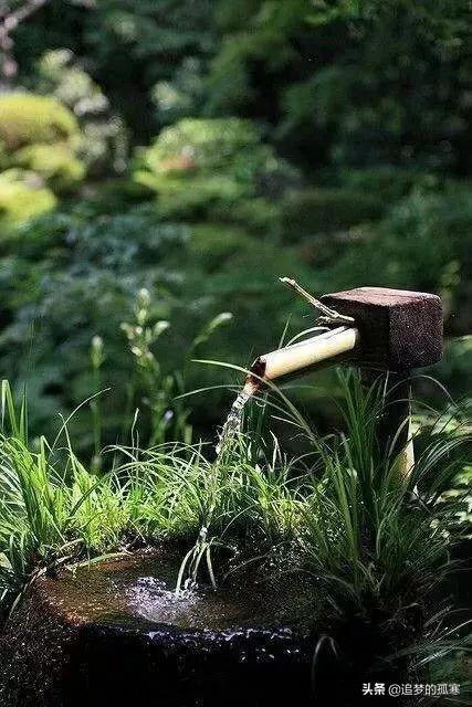 林清玄：眾人皆樂，我獨醒（深度好文）