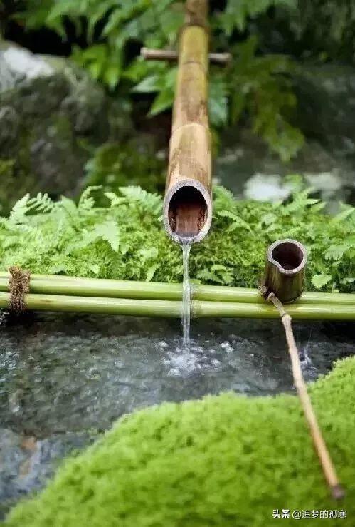 林清玄：眾人皆樂，我獨醒（深度好文）