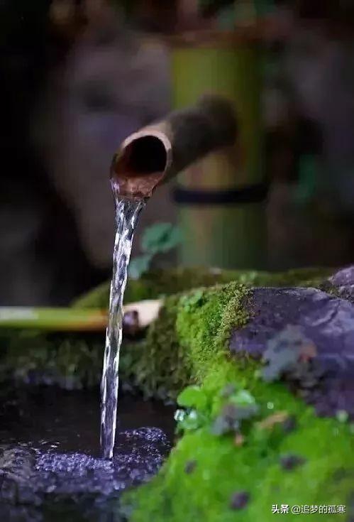 林清玄：眾人皆樂，我獨醒（深度好文）