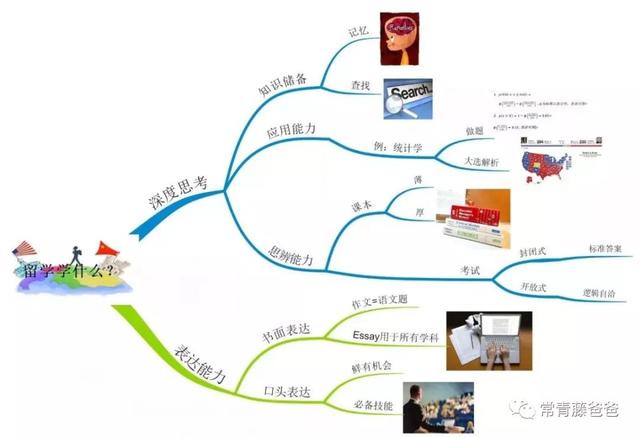 美國幼兒園/小學都在用的思維導圖，怎樣在家教給學齡前的孩子？