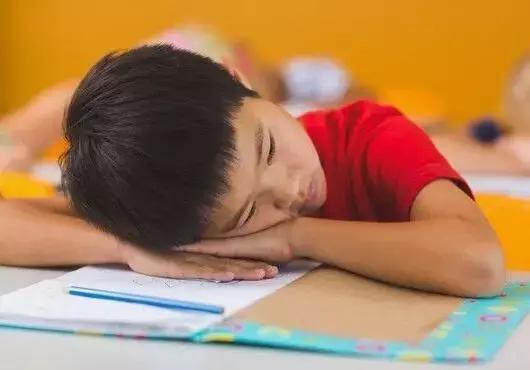 北大教授直言：比起那些從小考第一的學生，我更看好這5種孩子